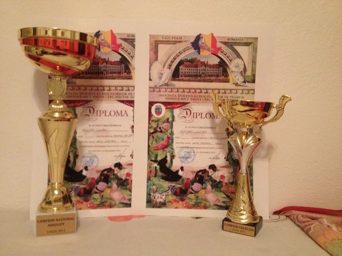 Campion National 2015; 96,5pct
