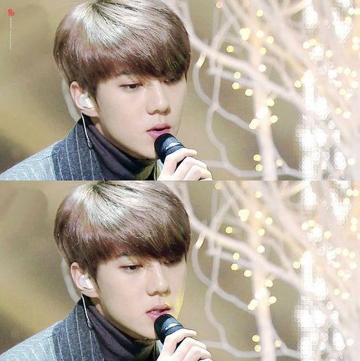 ╳ 118 days l 14.12.2015 ╳