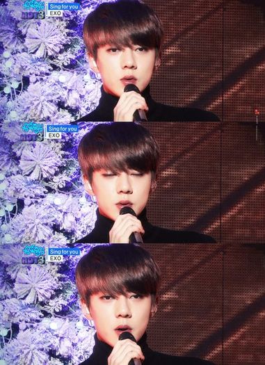 ╳ 119 days l 15.12.2015 ╳