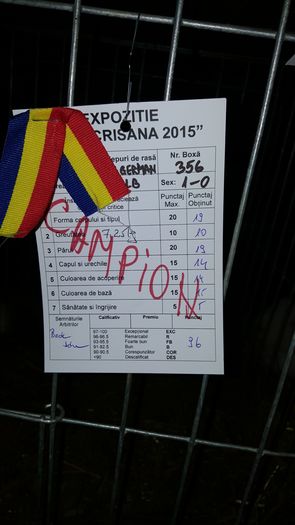 RO23 3510 ( M ) 96 pct