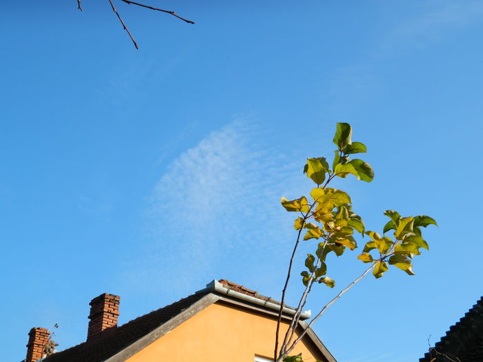 DSCN5613 - 2015_DECEMBRIE
