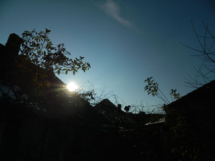 DSCN5640 - 2015_DECEMBRIE