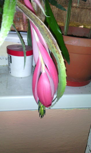 IMG_20151216_153206[1]