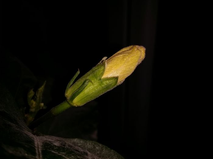 20151216_211555
