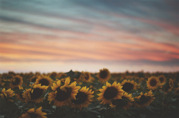  - Travel