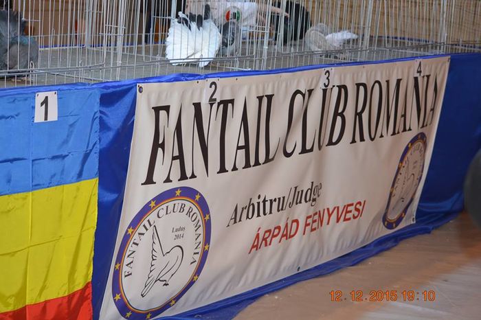 12342369_876584859123062_7571931619375867446_n - EXPO SPECIALIZATA FANTAIL CLUB ROMANIA