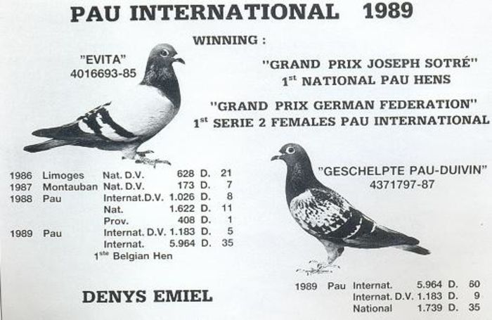 Emiel-Denys-Pau-International-1989 - Emiel Denys -despre el