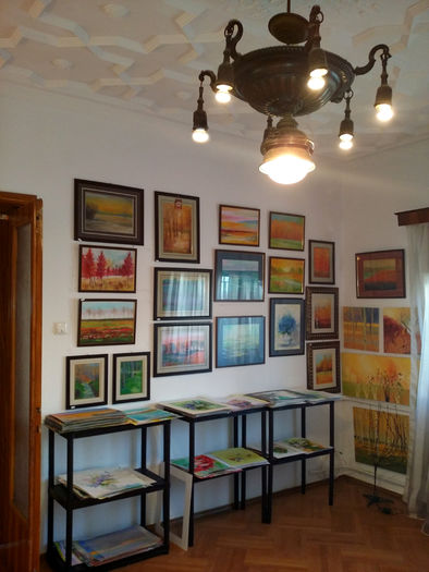 2015_7b - Galeria de arta Gabriela Calinoiu