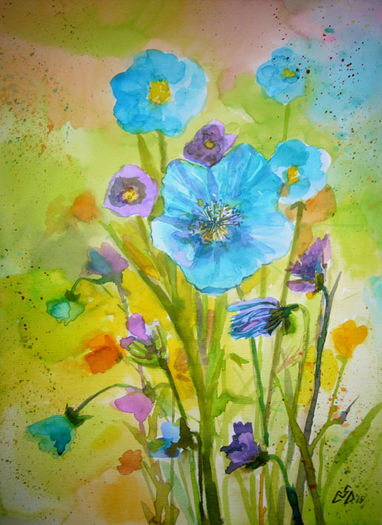BluePoppies2Med2 - Picturi cu flori