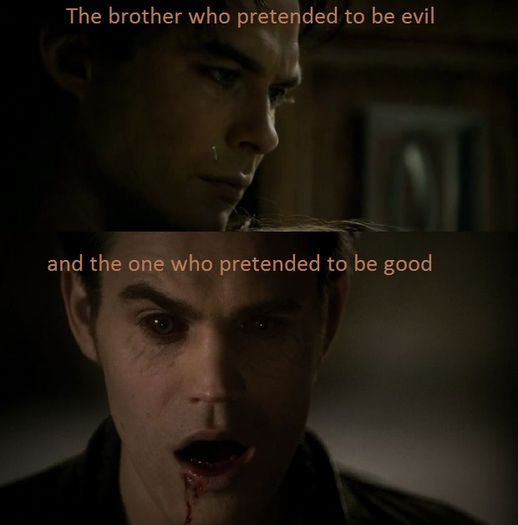 Tvd - T V D