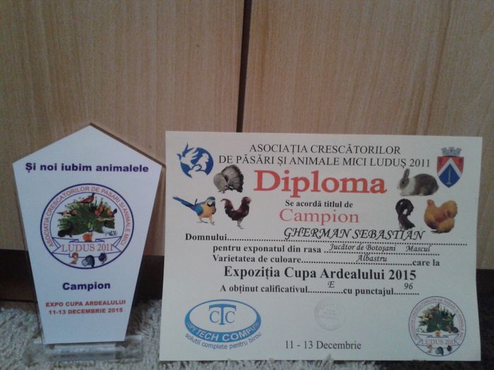 20151217_223509 - cupe si diplome