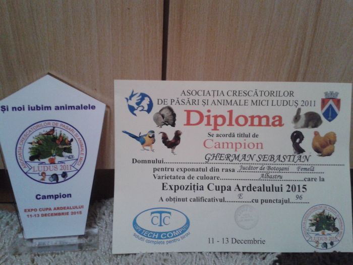 20151217_223445 - cupe si diplome