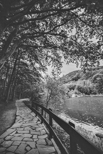  - Travel