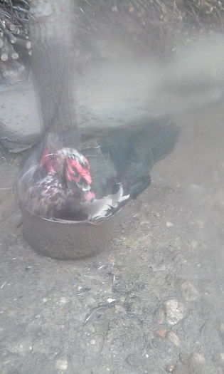 IMG_20151127_105042_1