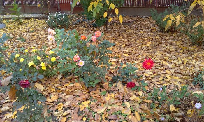 30 oct