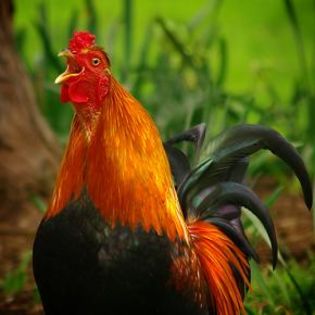79888_0f53351f14ef8b77677e891c3dda4776_mdsq