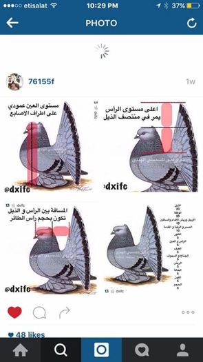 STANDARDUL VOLTATULUI INDIAN!!!