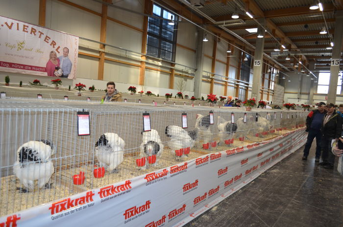073 - Expozitia nationala a Austriei 2016