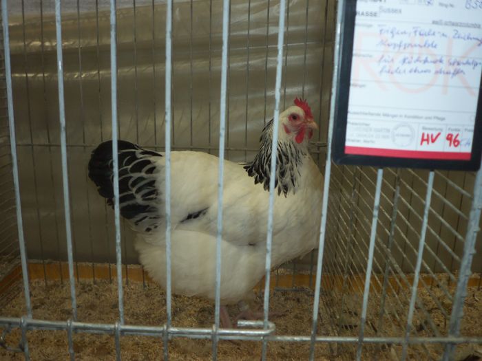 100_5366 - Poze expo Ried-Austria 2015