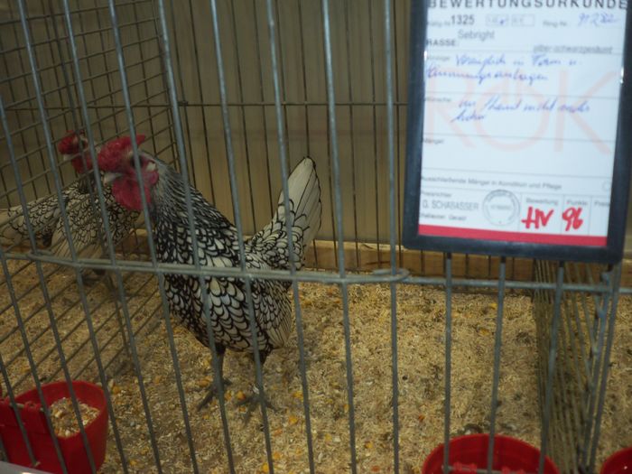 100_5386 - Kopie - Poze expo Ried-Austria 2015