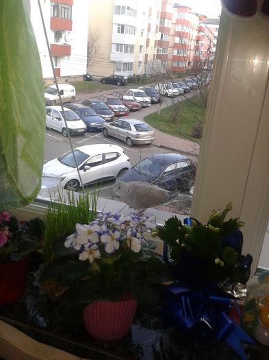 20151220_144712