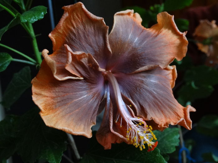 DSC04608