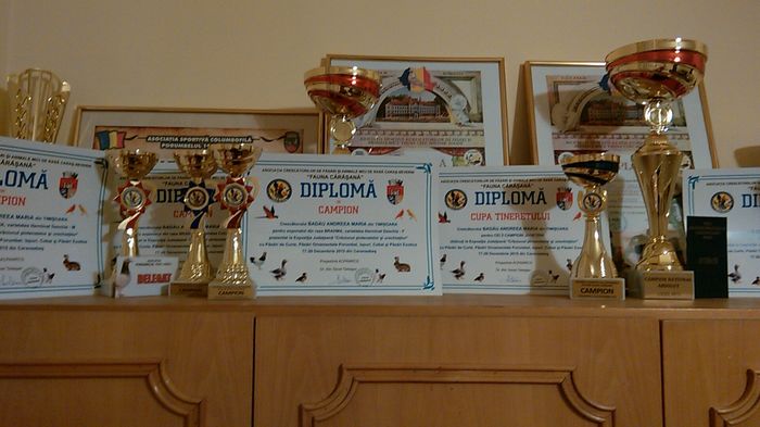 IMG_20151220_184907 - DIPLOME SI CUPE