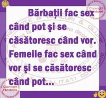 103232701_SVOSSXR - Diverse