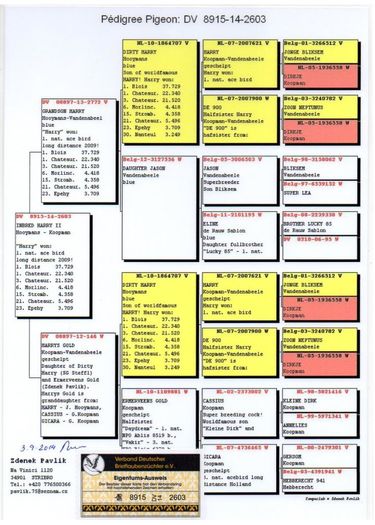 dv8915-14-2603-f-dubla-nepoata-dirty-harry-fiu-harry-jan-hooymans-pz03-1