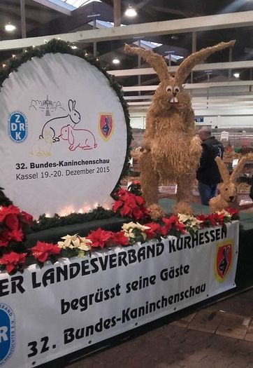 Kassel Bundes-Kaninchenshau - Kassel 2015 Kaninchenshau