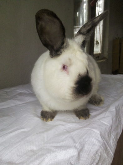 IMG_20151221_141427 - M Calif