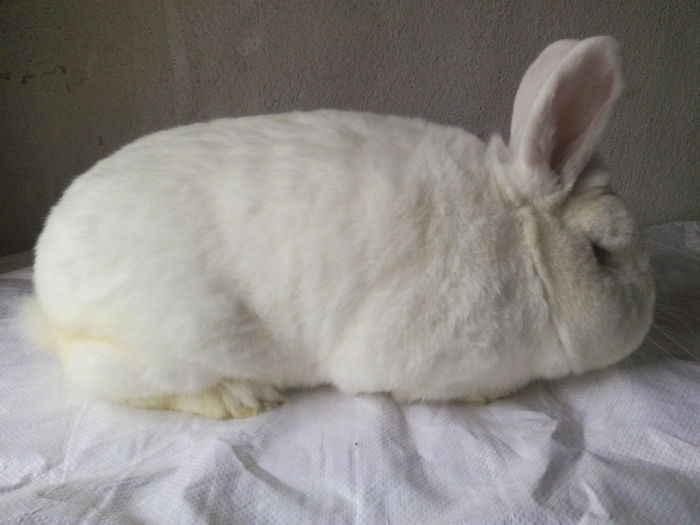 IMG_20151221_141923 - M Neo