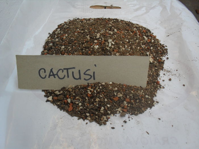 AMESTEC PENTRU CACTUSI 4,5   lei / l