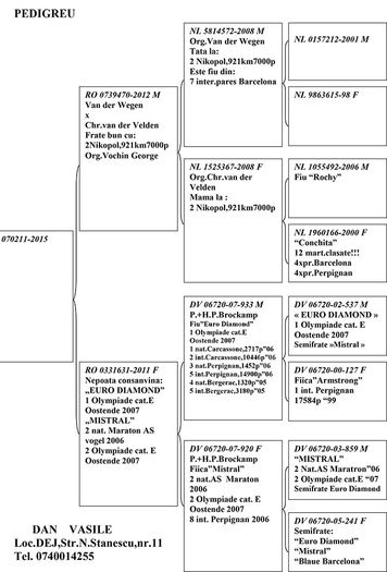 Pedigree RO 070211-15 F; Pedigree RO 070211-15 F  Brockamp - van de Wegen - Crh.van der Velden Mama consangvina pe &quot;EURO DIAMOND&quot; dintr-un fiu al lui si o fica a lui &quot;MISTRAL&quot; frate cu&quot;EURO DIAMONT
