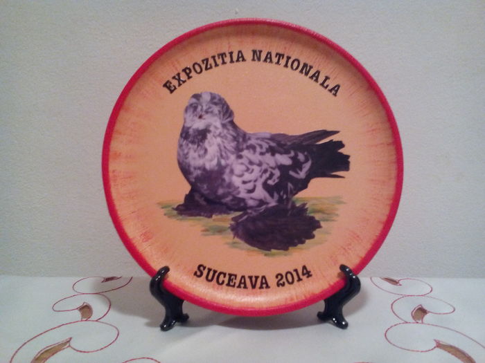 SUCEAVA 2014 - PANOPLII NATIONALE