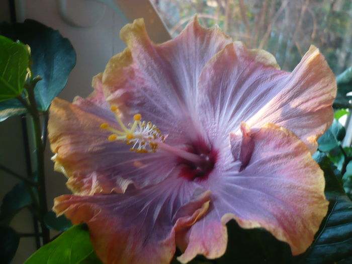 P1240953