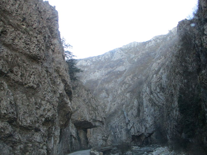 IMG_0474 - Cheile Sohodolului 2015