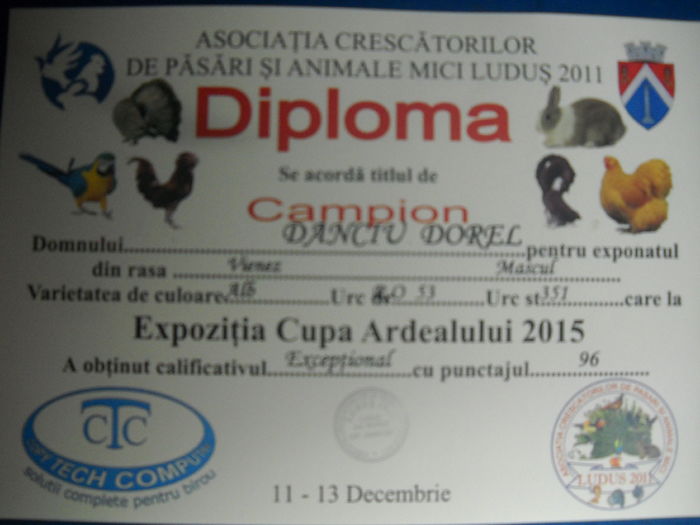 DSCN1822 - CUPA ARDEALUL