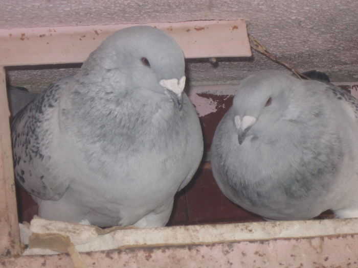 CRISTIANO 7& PHILLADELPHIA; DE 2015
