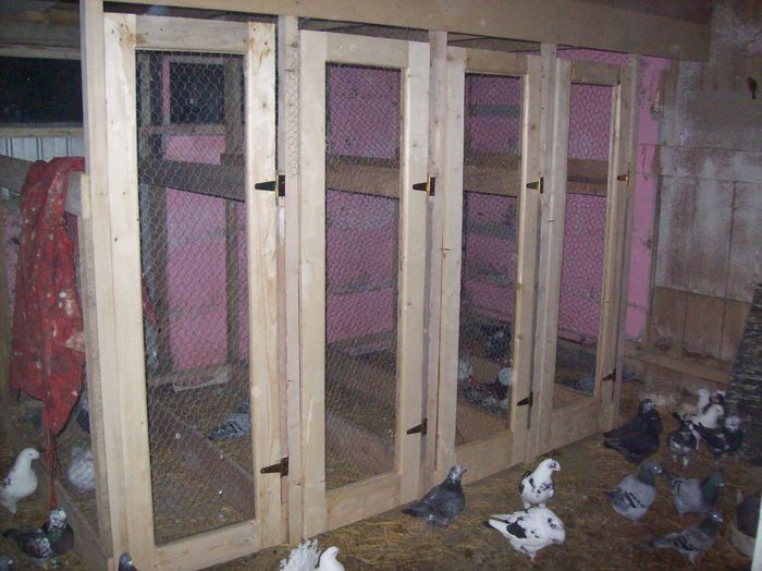 101_1960 **  dupa      modificare   **