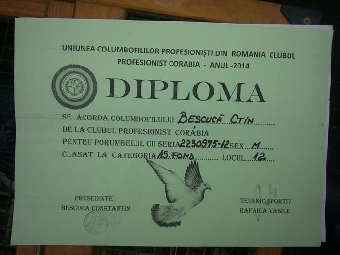 Diploma AS FOND - Mascul perechea 2 Gutul list -223075-2012 Aarden - Denys