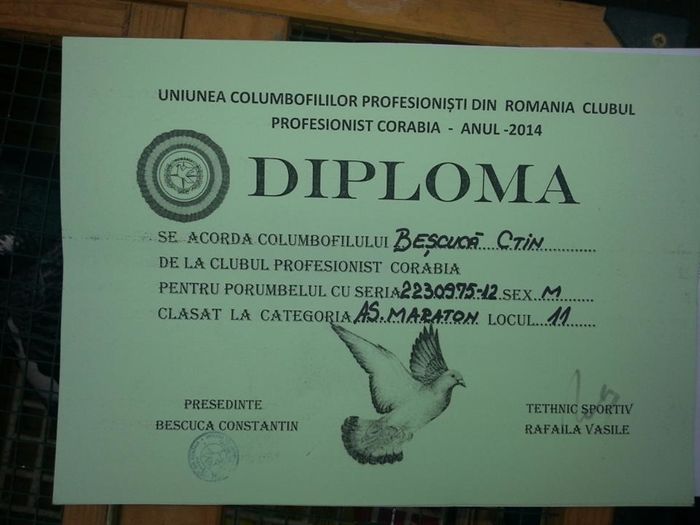 Diploma AS MARATON - Mascul perechea 2 Gutul list -223075-2012 Aarden - Denys