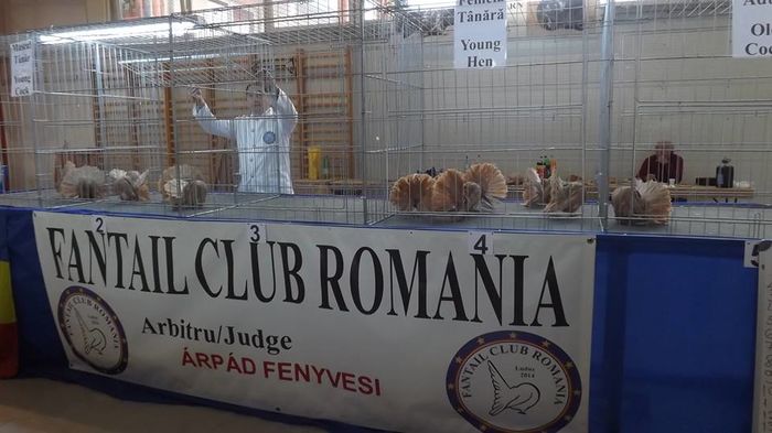 12348029_870196569765071_4570308858355496131_n