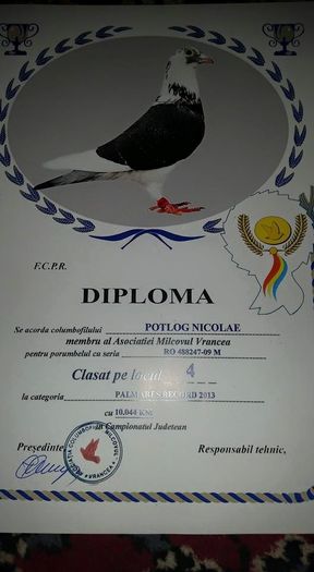 Diploma Record peste 10000 km clasati