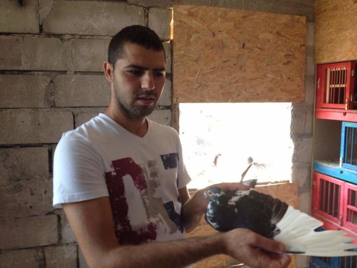 Aripa lui Doroftei Junior