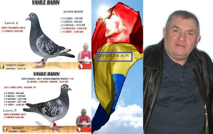 Campion Nat.Palmares Tartu 2014-2015 este semifrate cu masculul meu - Mascul perechea 5 Gut list 440329-2009 Badin Vasile