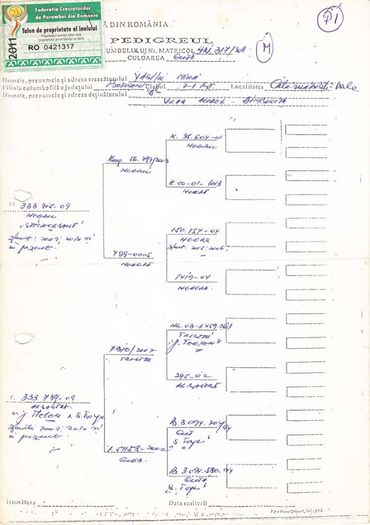 Pedigree-ul - Mascul perechea 6 Solzat 421317-2011 Vasiliu Mihai Botosani