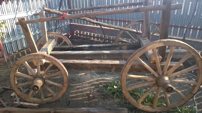 WP_20151224_003 - poze pentru Marius