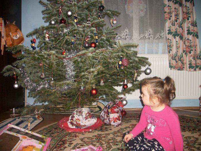 Sarbatori Fericite la toata lumea!!!