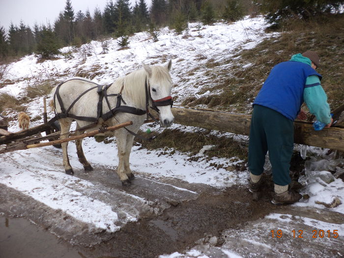 Ne oprim la troaca la apa